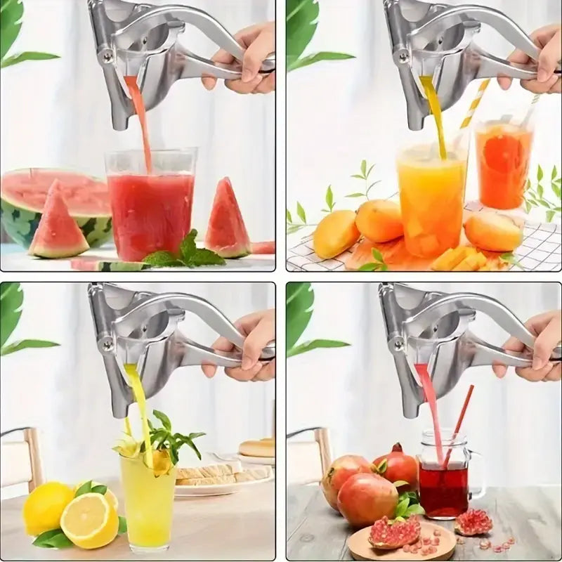 Power Press Juicer Stainless Steel