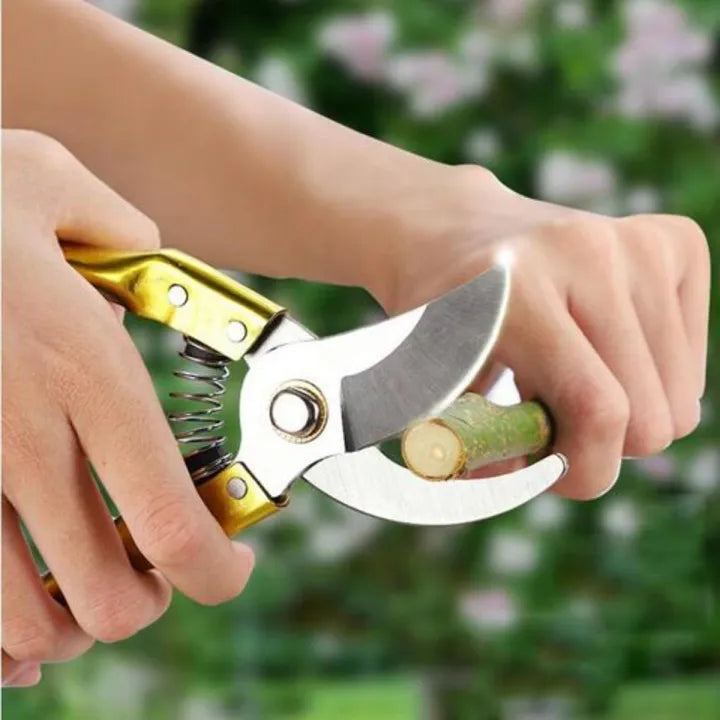 Plant/Flowers Cutter- Plant Pruning Scissors with Extra Spare Kit/Hand Pruner Plant Branches Cutter For Gardening tool
