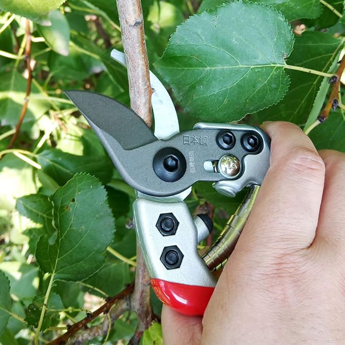 BloomCut™ – Flower & Bonsai Trimming Scissors