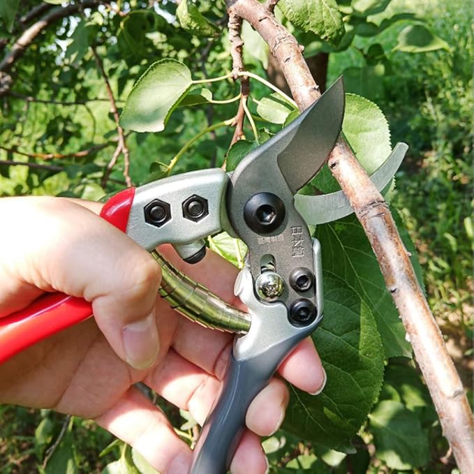 BloomCut™ – Flower & Bonsai Trimming Scissors