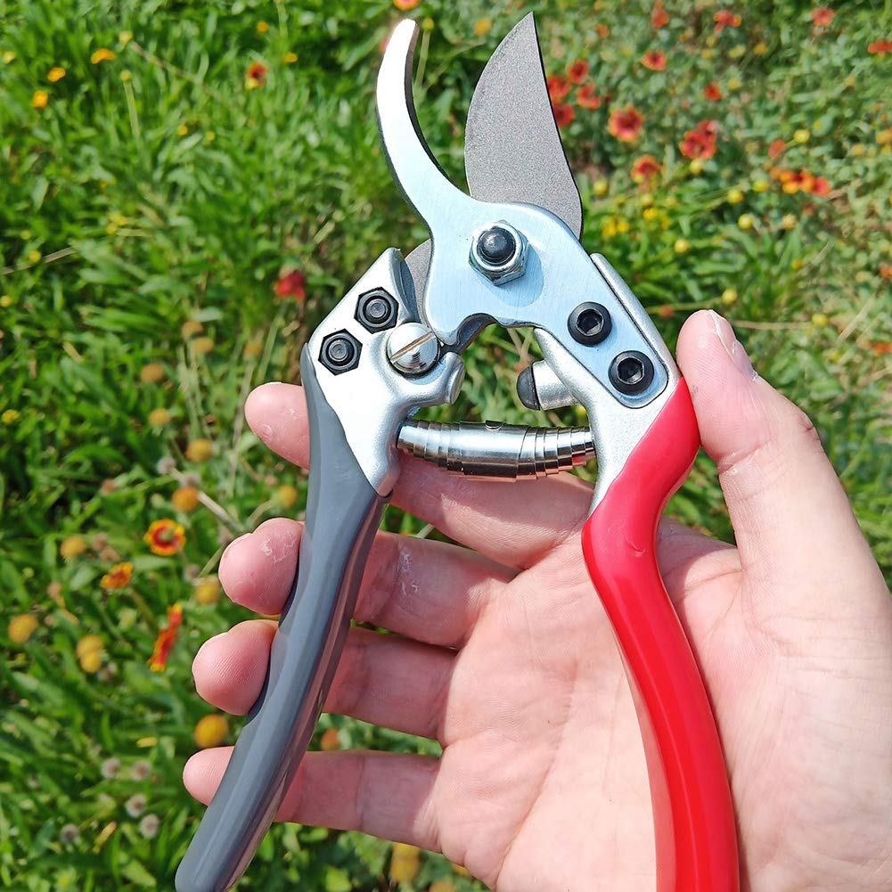 BloomCut™ – Flower & Bonsai Trimming Scissors