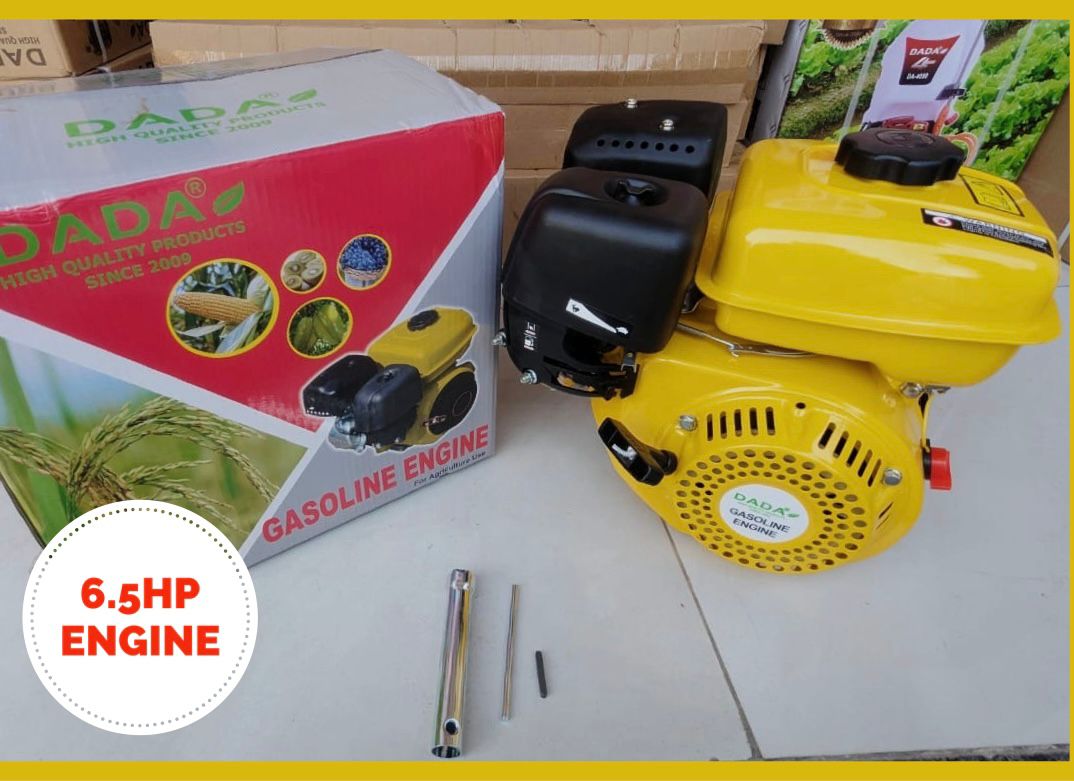 Petrol & Gasoline Engine Power Solution Provider 6.5