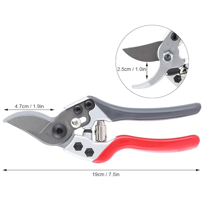 BloomCut™ – Flower & Bonsai Trimming Scissors