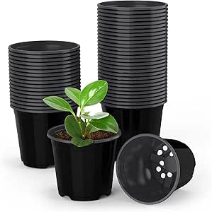 50 Pack 5-Inch Black Plastic Nursery Pots
