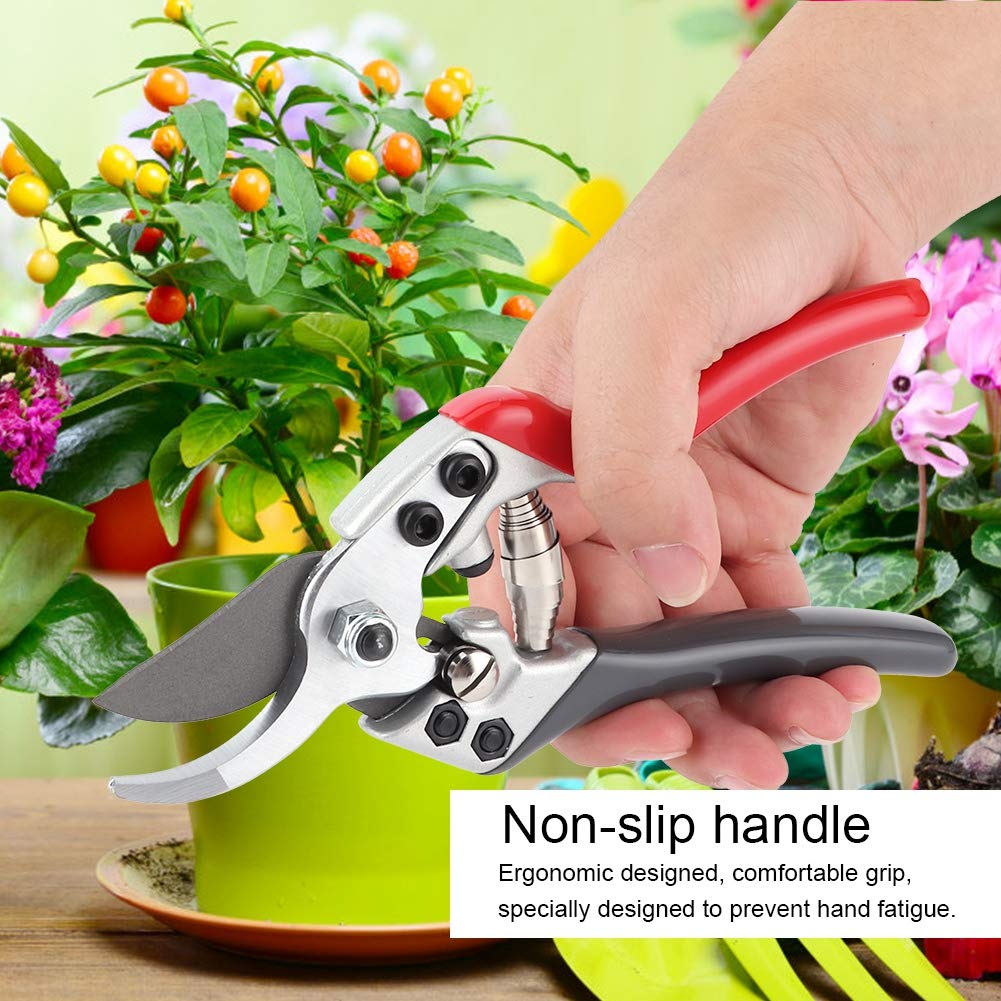 BloomCut™ – Flower & Bonsai Trimming Scissors
