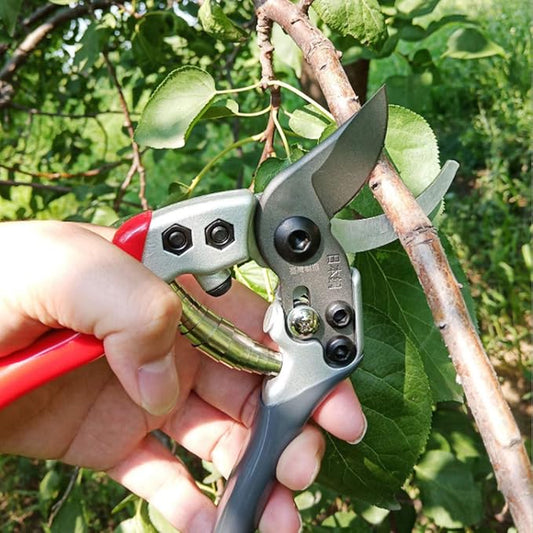 Garden Clipper Trimming Scissors, for Fruit Trees Bonsai Plants Flowers