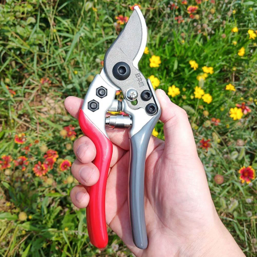 BloomCut™ – Flower & Bonsai Trimming Scissors
