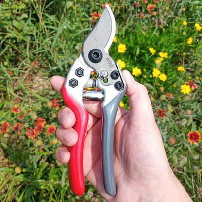 BloomCut™ – Flower & Bonsai Trimming Scissors