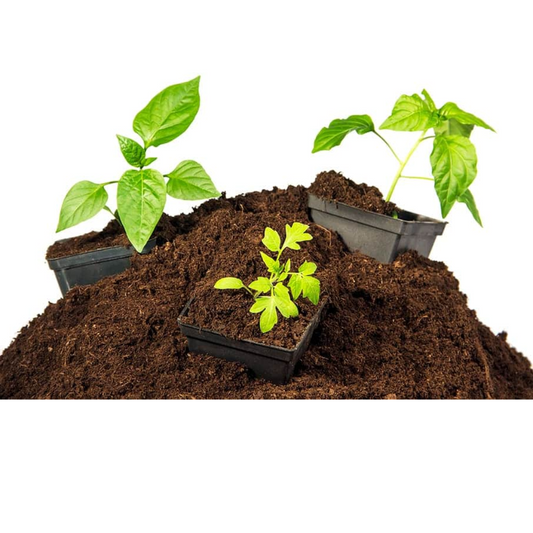 Premium Organic Peat Moss