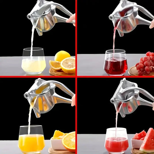 Power Press Juicer Stainless Steel