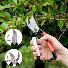 Gardening scissors pruning shears professional sharp hand pruning shears and safety lock tree trimming trim non-slip handles Pruners