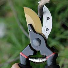 Gardening scissors pruning shears professional sharp hand pruning shears and safety lock tree trimming trim non-slip handles Pruners