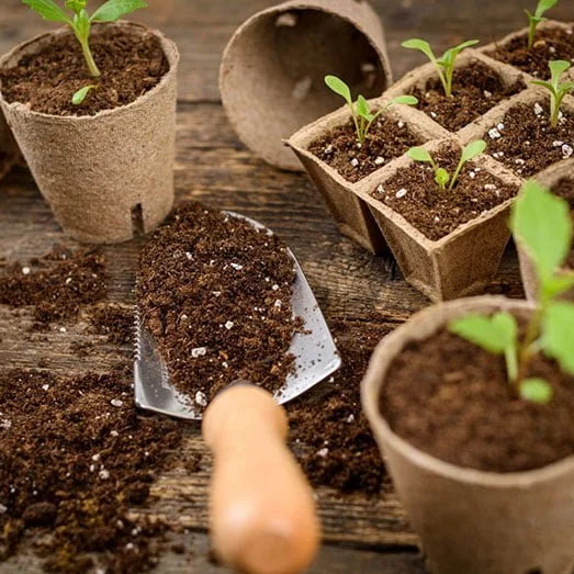 Premium Organic Peat Moss